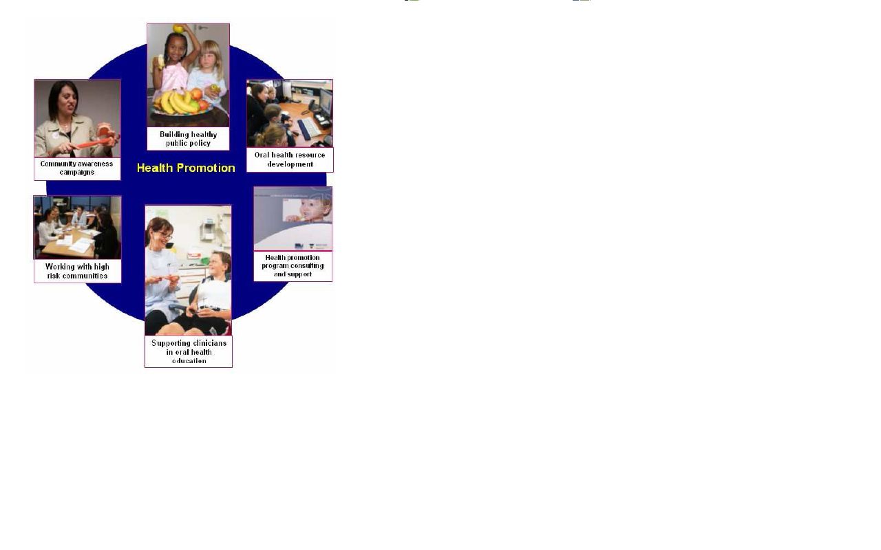 Health Professions Team.jpg